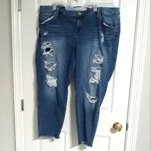 Torrid jeans sz 24